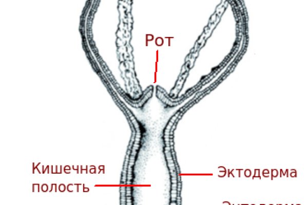 Где взять ссылку на кракен